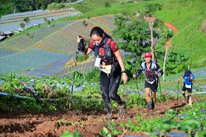 BIB: 
                            <button type="button" onclick="openModal(13380744)" class="btn btn-primary btn-sm float-right btn-popup" data-toggle="modal" data-target=".modal-high-quality">
                        <i class="fas fa-shopping-cart"></i> Add to Cart
                    </button>
                                            <button type="button" onclick="isThisMe(13380744, true)" class="btn btn-success btn-sm float-right btn-popup btn-isme hidden" data-toggle="tooltip" data-placement="bottom" title="นี่คือรูปของคุณใช่ไหม คลิกที่นี่เพื่อเอาเข้าอัลบั้ม">
                        <i class="fas fa-plus"></i> Add to album
                    </button>
                    <button type="button" onclick="isThisMe(13380744, false)" class="btn btn-warning btn-sm float-right btn-popup btn-isnotme hidden">
                        <i class="fas fa-ban"></i> Remove from album
                    </button>